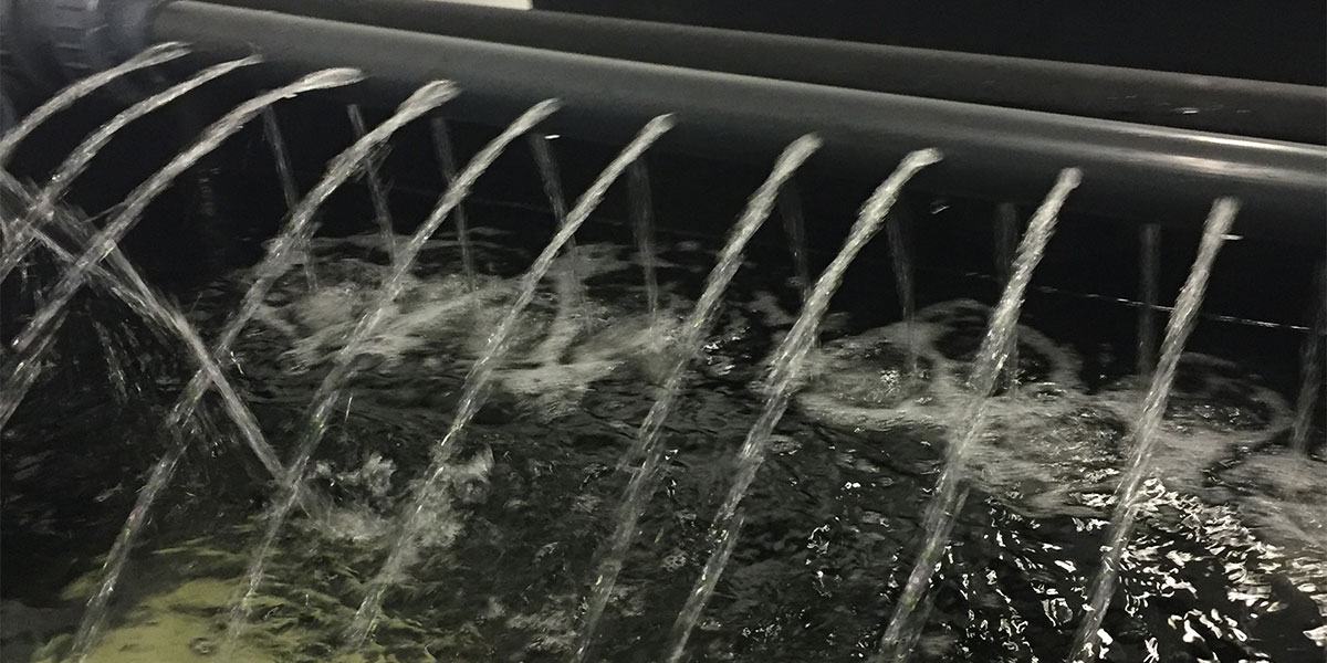 Oysters purification tanks at Achill Oysters dispatch centre